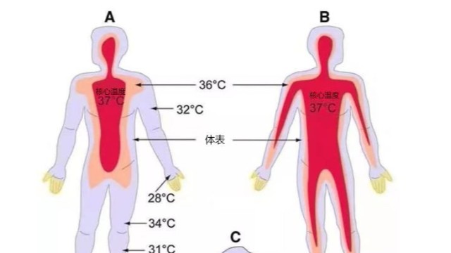 工業(yè)紅外測溫儀-便攜式熱成像測溫儀能用于體溫檢測嗎？