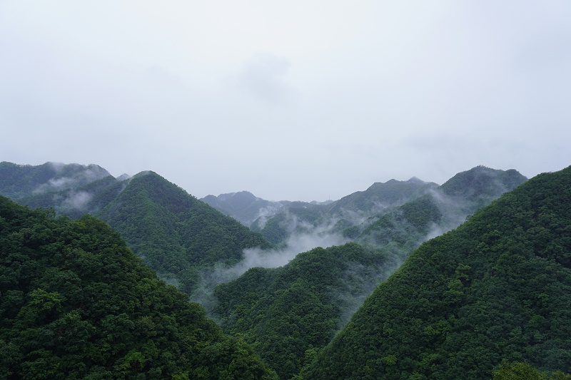 河南雙志團建風景圖